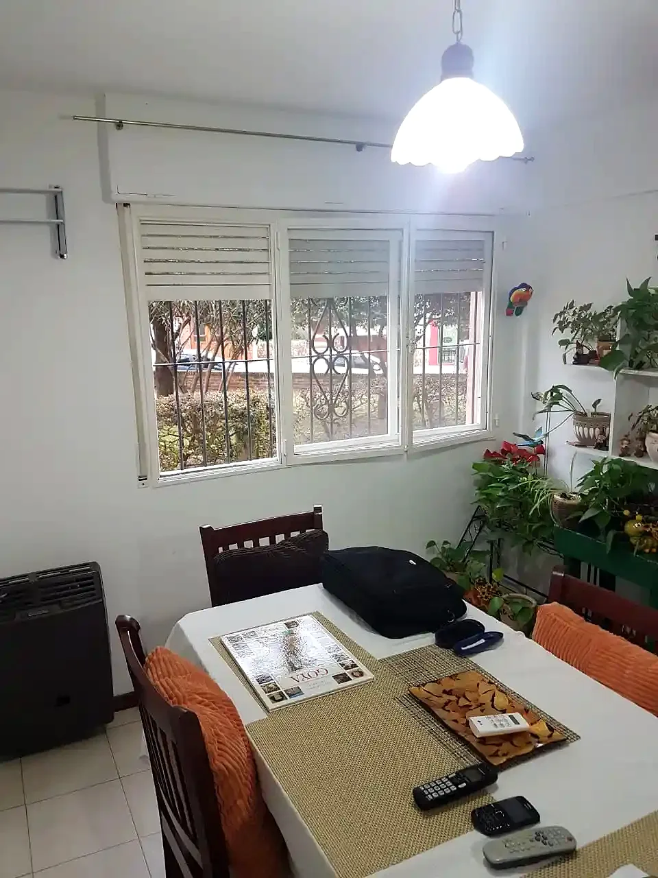 Fotografía 1 de Departamento en Zona Centro