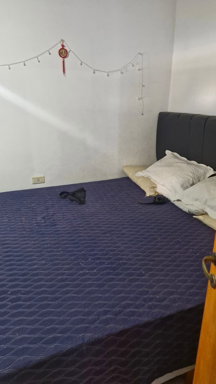 WhatsApp Image 2025-08-05 at 11.39.52