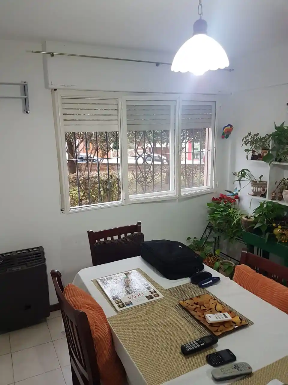 WhatsApp Image 2025-09-12 at 18.44.41