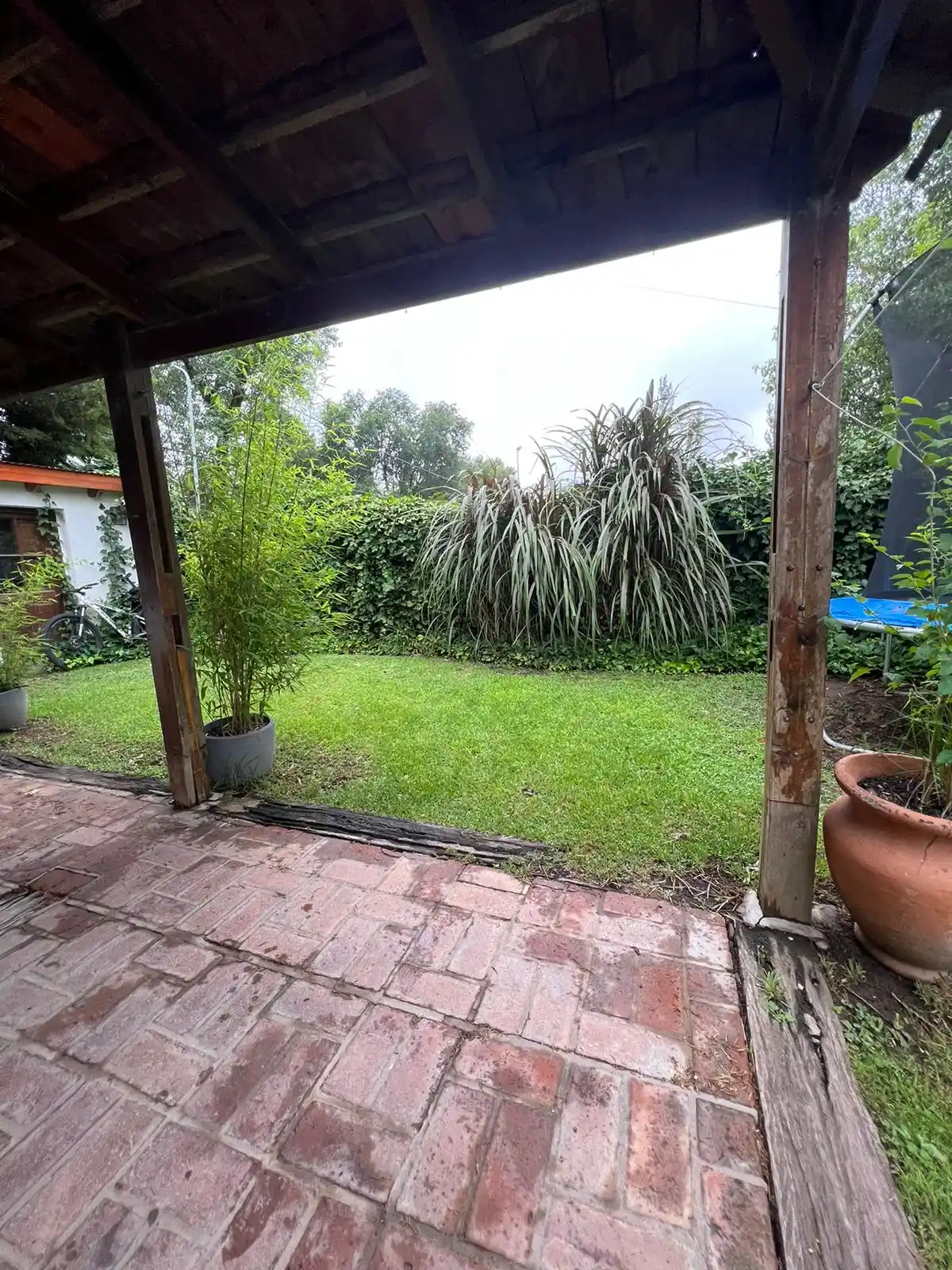 WhatsApp Image 2026-01-15 at 15.33.48 (3)