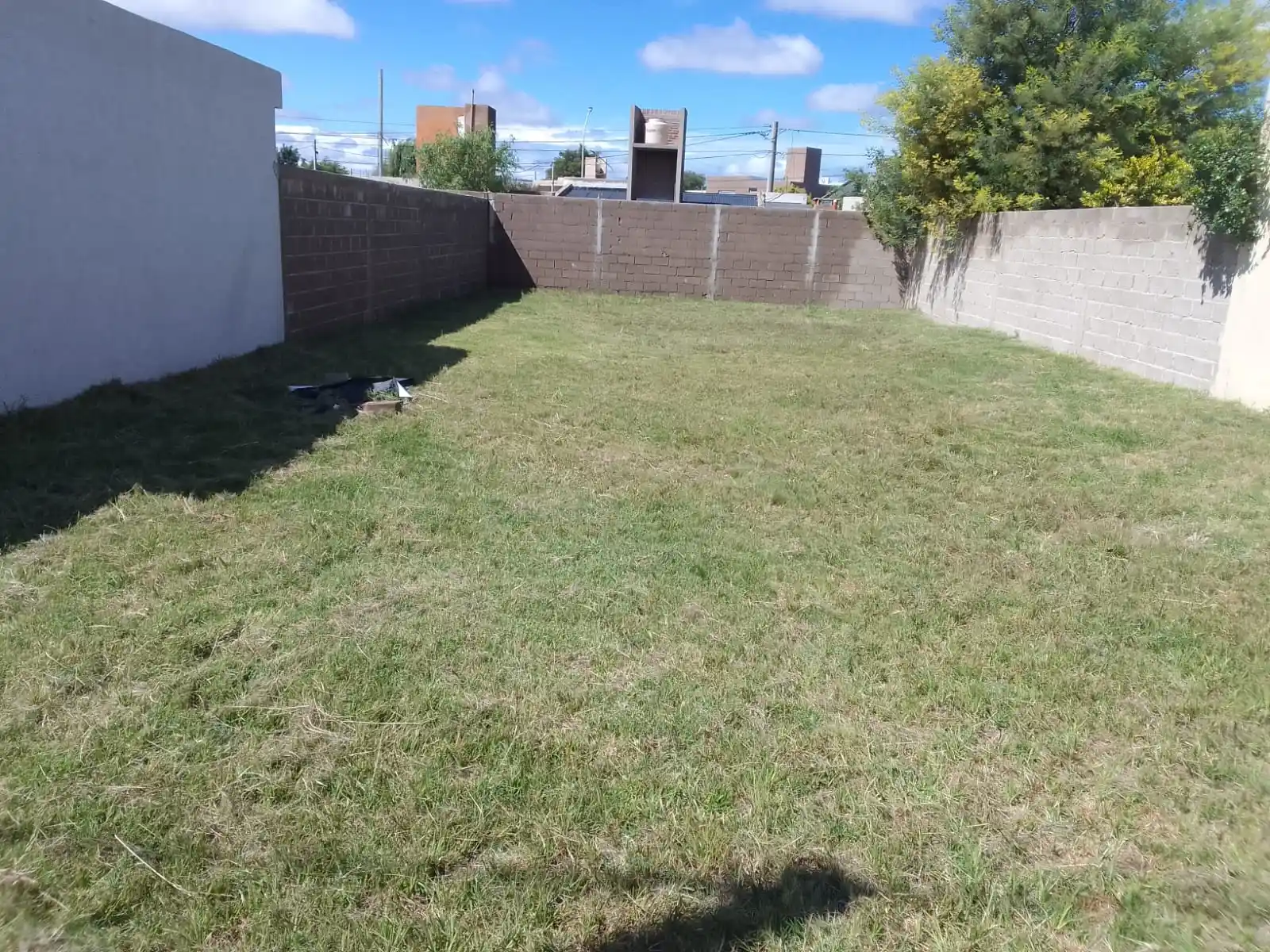 WhatsApp Image 2026-02-20 at 11.47.49 (1)