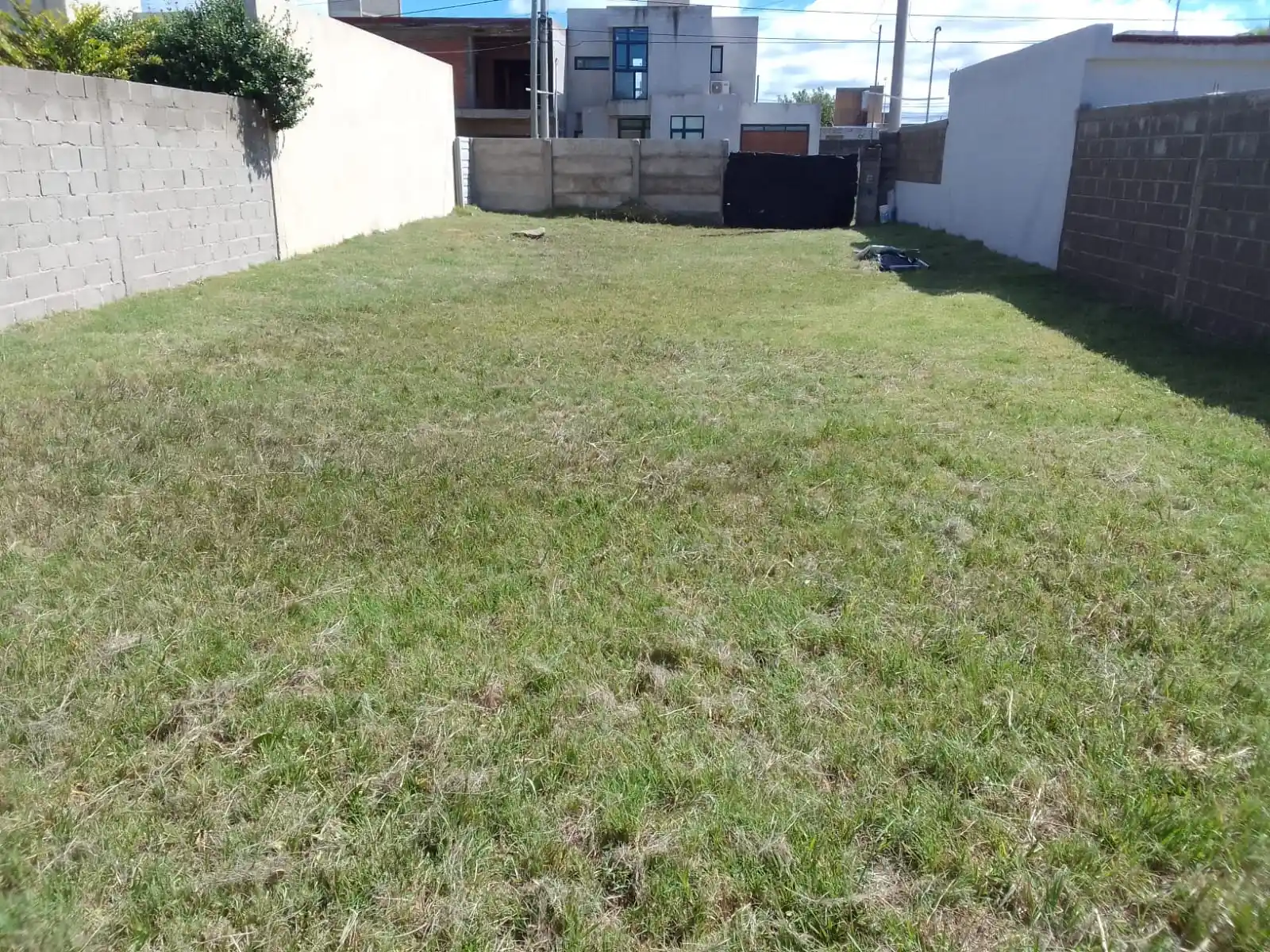 WhatsApp Image 2026-02-20 at 11.47.49